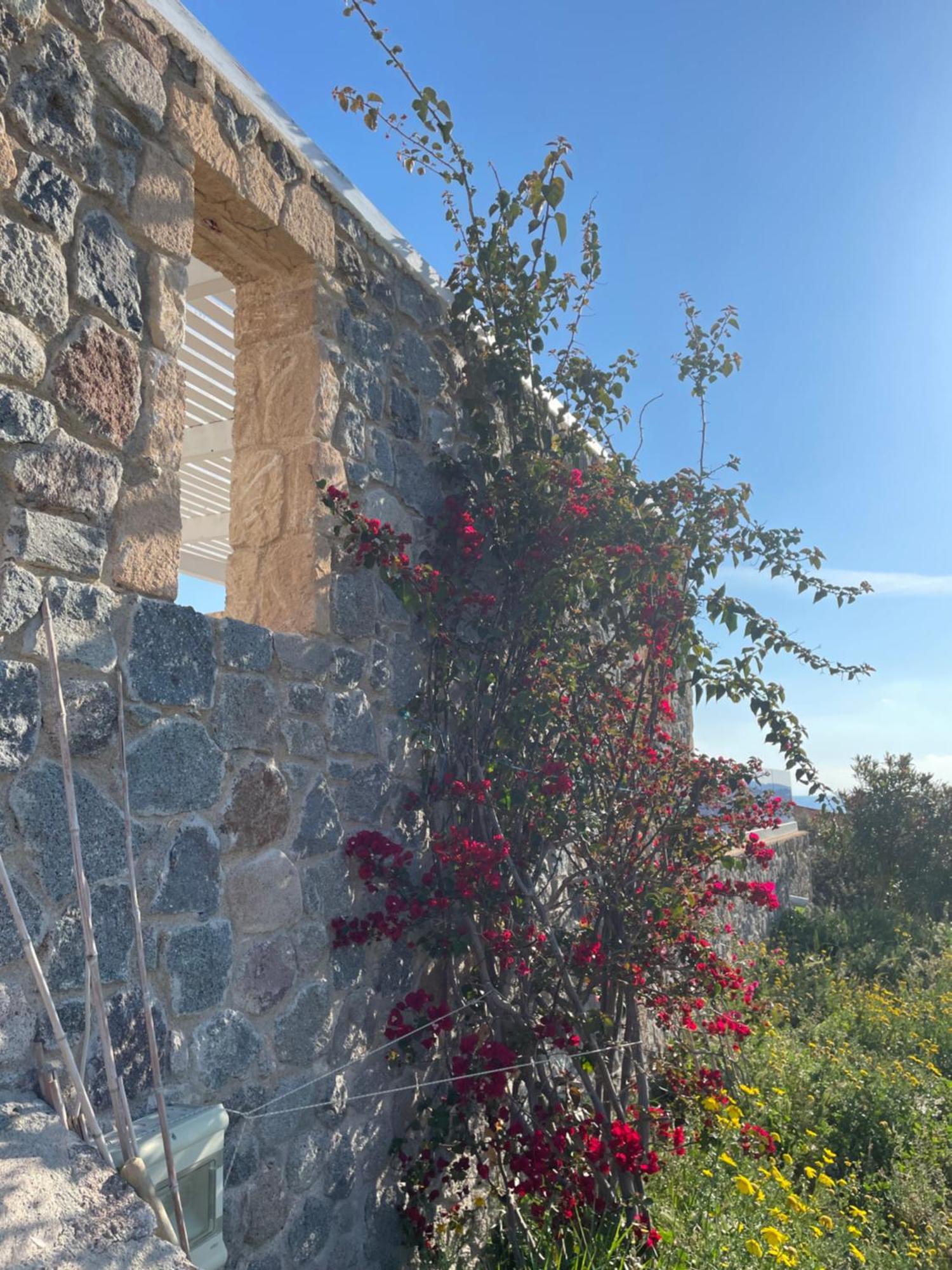 Souvala /Aegina. Excellent Location Luxury Villa. Vathí Dış mekan fotoğraf