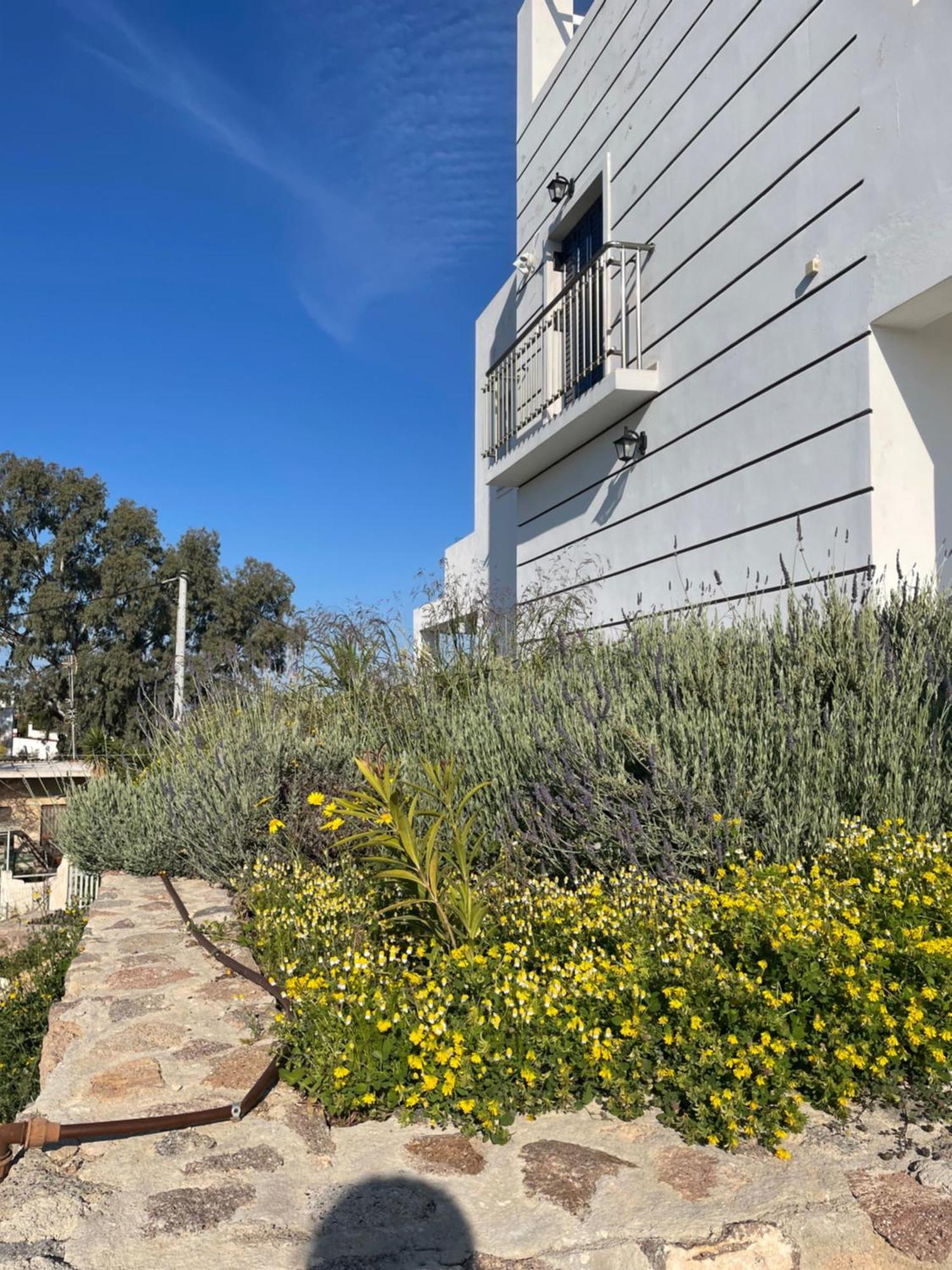 Souvala /Aegina. Excellent Location Luxury Villa. Vathí Dış mekan fotoğraf